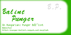balint punger business card